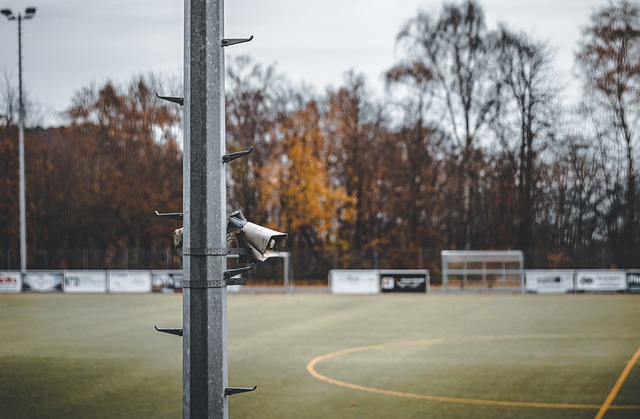 还需要球迷 还需要球迷