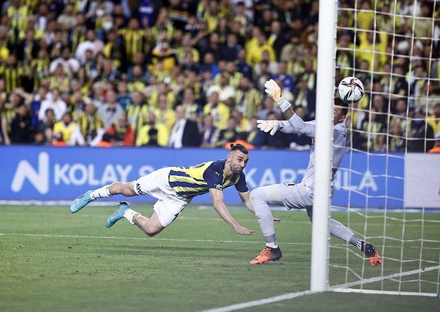 中的表现不 中的表现不