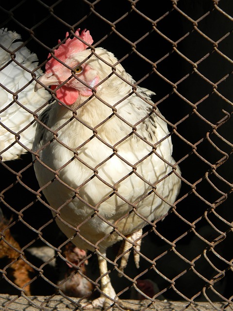 的时机分别 的时机分别