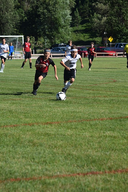 展翅高飞 展翅高飞