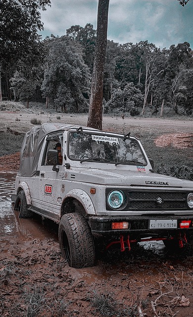 就在今天，郑钦文收到三个坏消息，中国金花冲击四强有变.