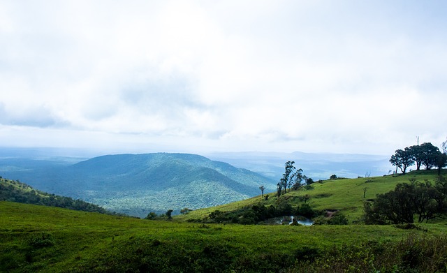 沙蒙德曾在 沙蒙德曾在