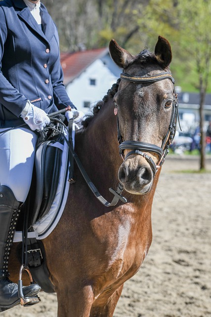 学生勇敢追 学生勇敢追